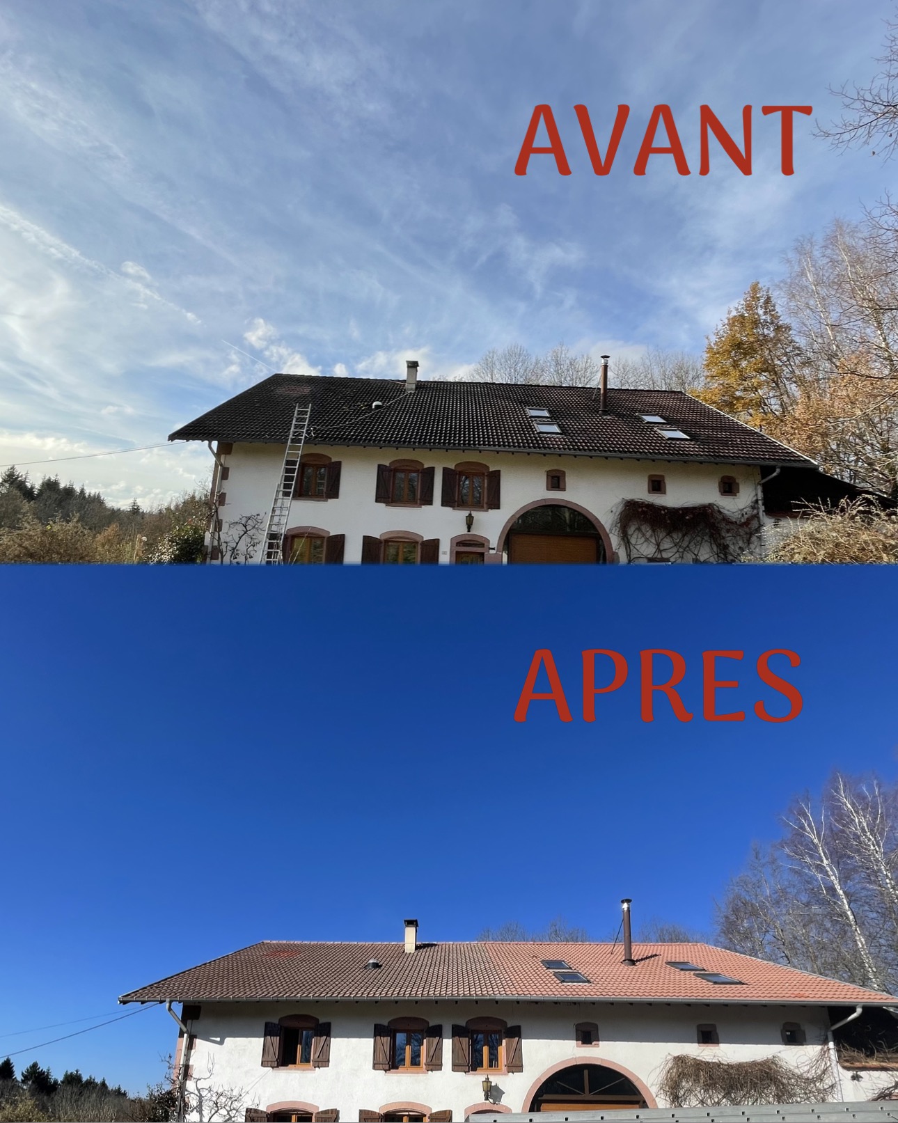Nettoyage & démoussage toiture - MW Rénovation